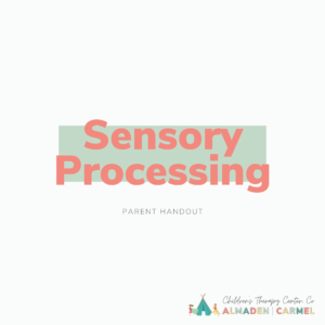Sensory Processing Basics